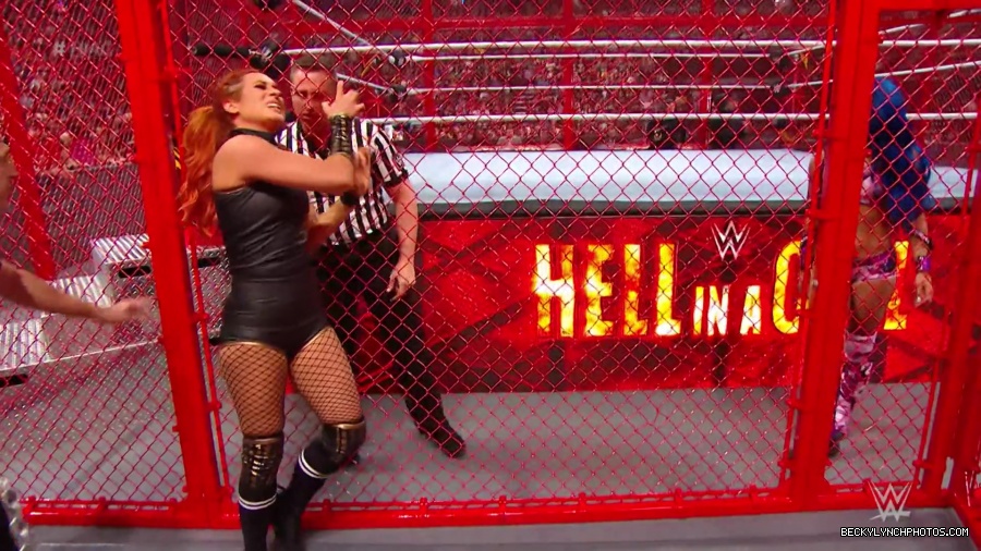 Hell_in_a_Cell_19_mp40263.jpg