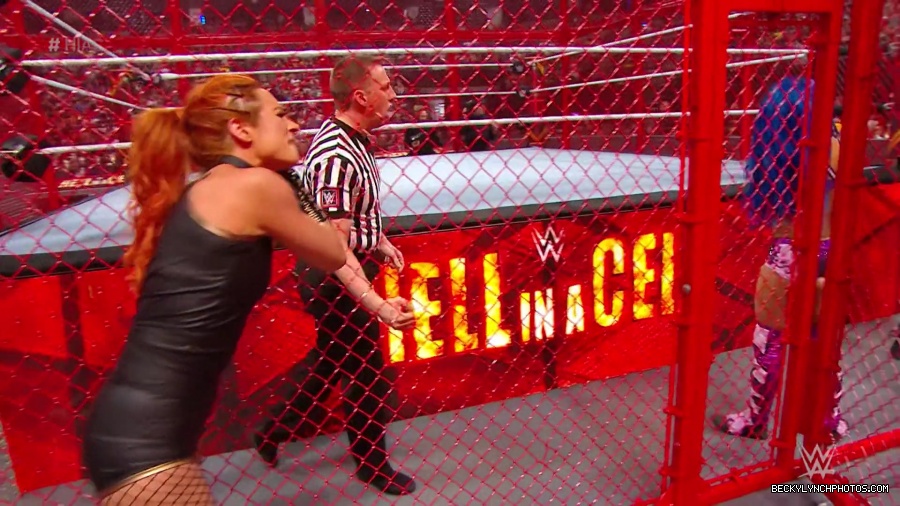 Hell_in_a_Cell_19_mp40265.jpg