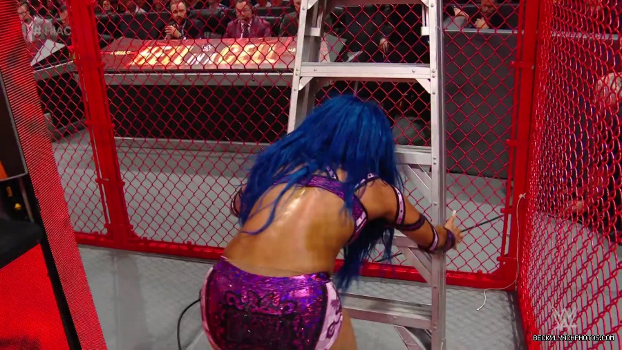 Hell_in_a_Cell_19_mp40470.jpg