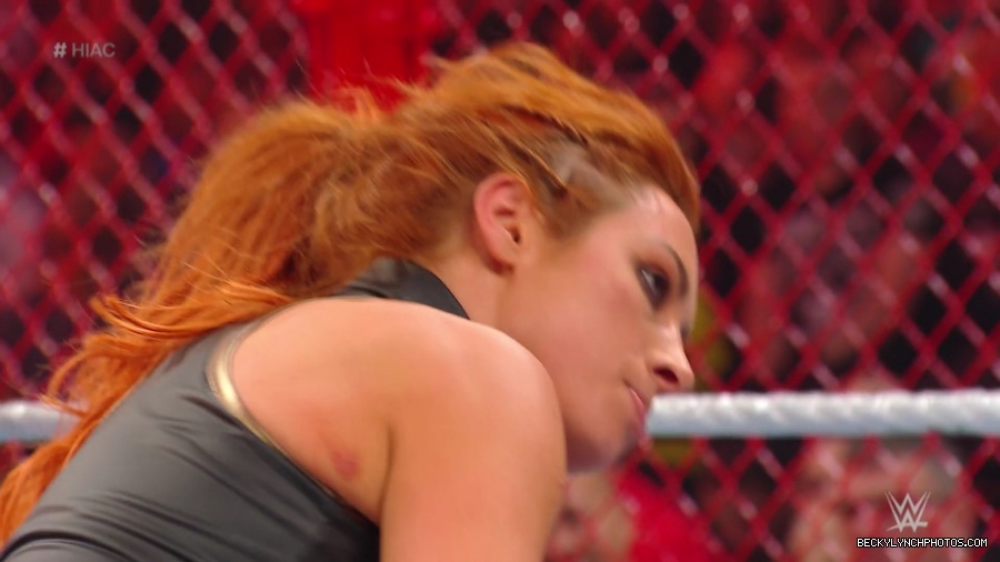 Hell_in_a_Cell_19_mp41006.jpg