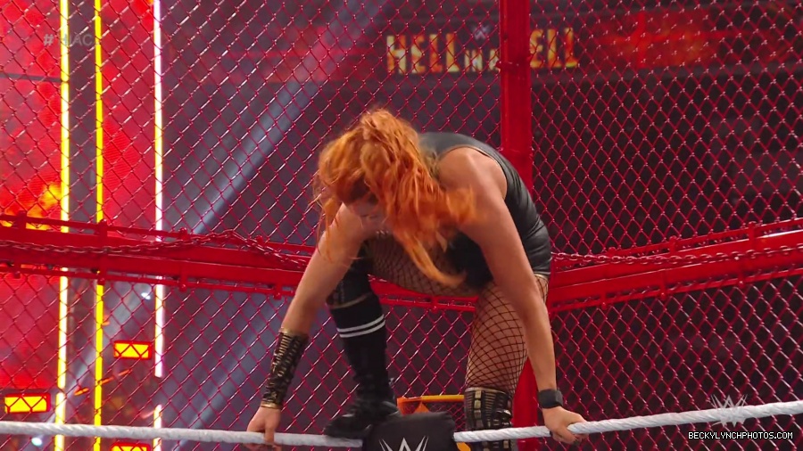 Hell_in_a_Cell_19_mp41025.jpg