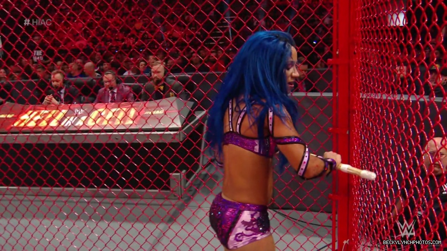 Hell_in_a_Cell_19_mp41103.jpg