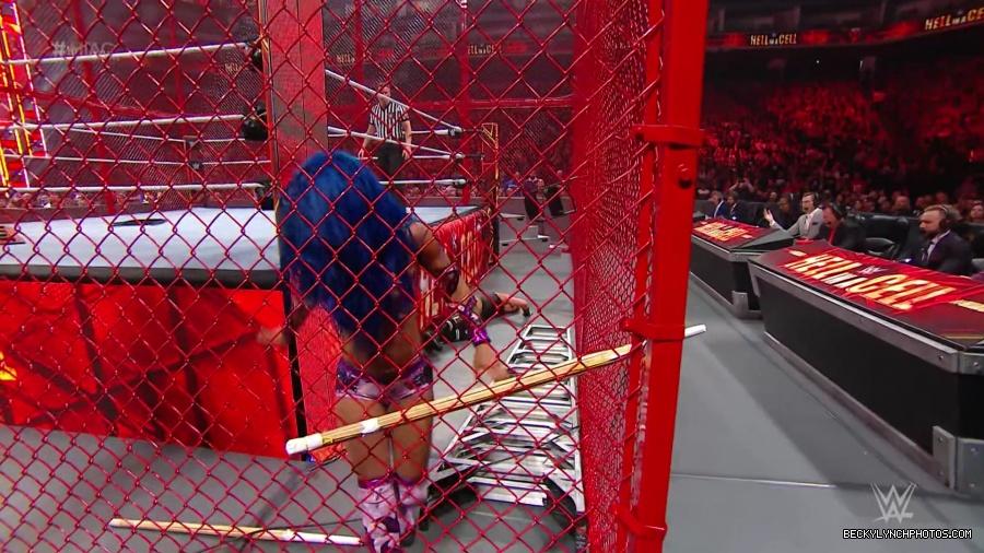 Hell_in_a_Cell_19_mp41105.jpg