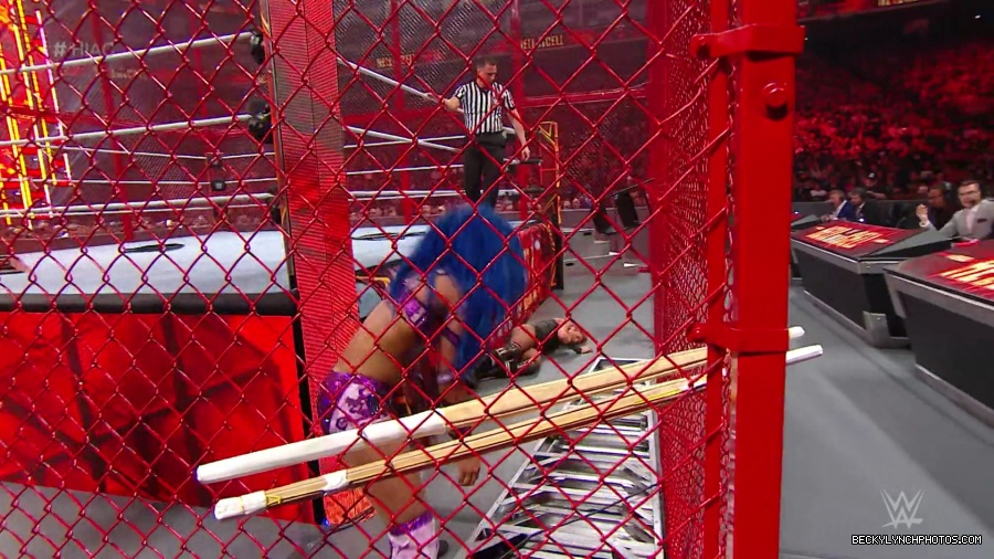 Hell_in_a_Cell_19_mp41111.jpg