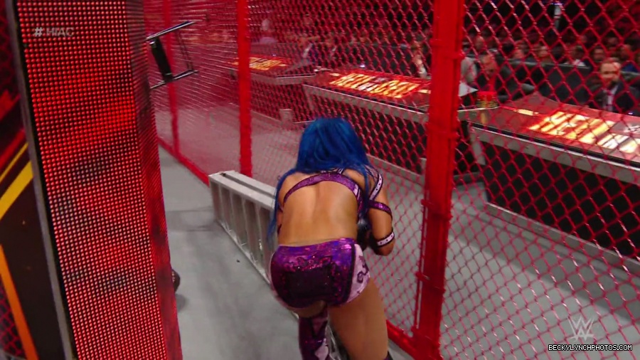 Hell_in_a_Cell_19_mp41116.jpg