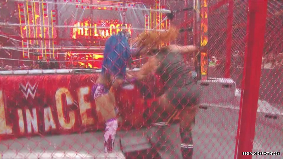 Hell_in_a_Cell_19_mp41481.jpg