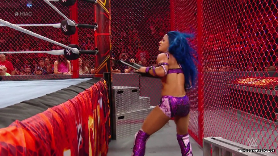 Hell_in_a_Cell_19_mp41484.jpg