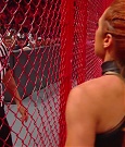 Hell_in_a_Cell_19_mp40310.jpg