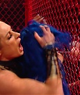 Hell_in_a_Cell_19_mp40353.jpg