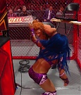 Hell_in_a_Cell_19_mp41172.jpg