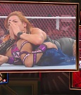 Hell_in_a_Cell_19_mp41251.jpg