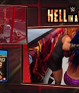 Hell_in_a_Cell_19_mp41476.jpg