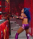 Hell_in_a_Cell_19_mp41484.jpg